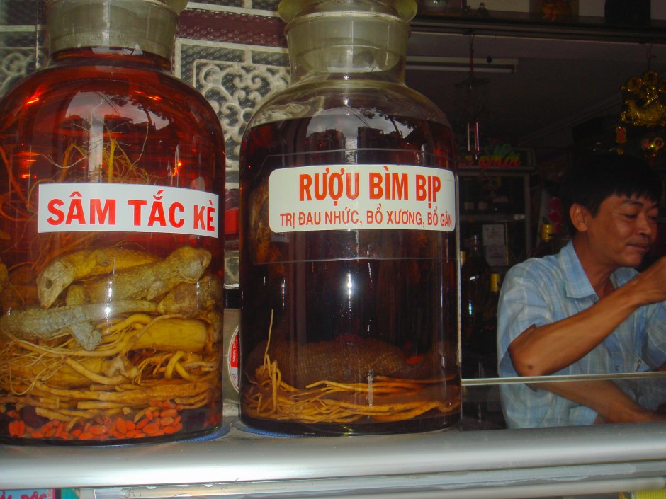 A specialty store selling snake and scorpion liquor