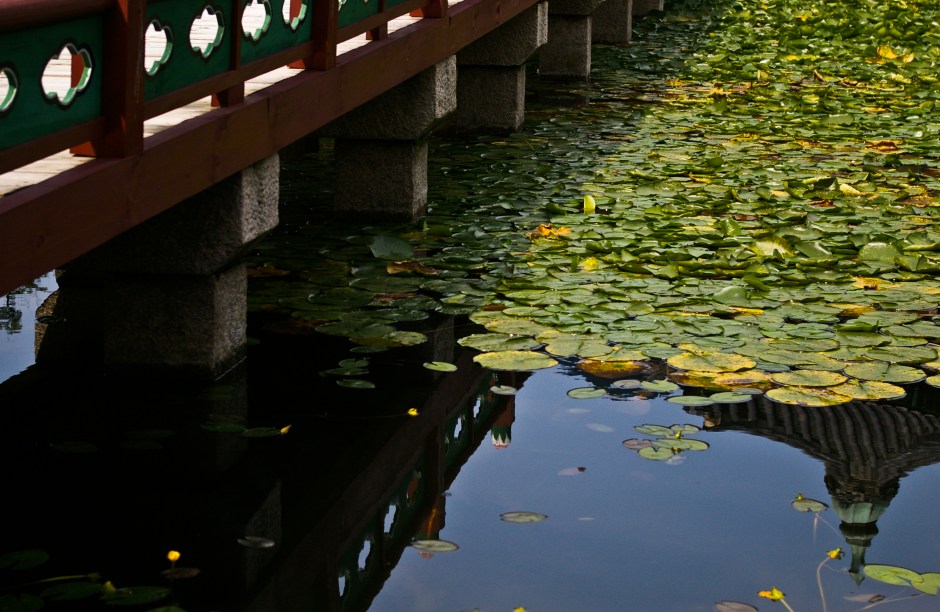 Palace buildings reflect in a pool landscape