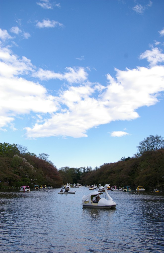 A sunny day in Inokashira Park
