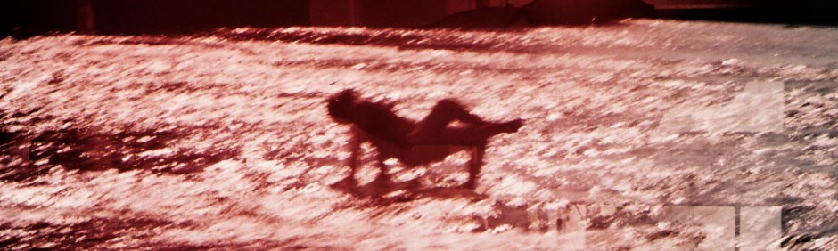 Playing in the waters near Tahquamenon Falls, MI